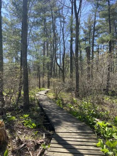 10 Best Hikes And Trails In Yankee Springs Recreation Area Alltrails