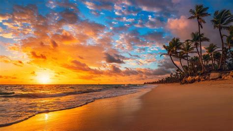 海边 夕阳 黄昏 海滩 沙滩 椰树风景4k壁纸图片编号332434 壁纸网