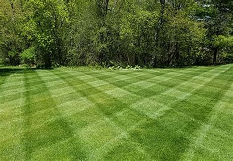 Lawn Striping And Lawn Patterns Scag Power Equipment