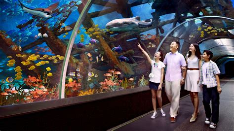 Resorts World Sentosa Lots Of Fun Visit Singapore Official Site