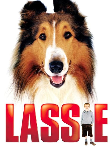 Lassie Dog Big Nate Wiki Fandom