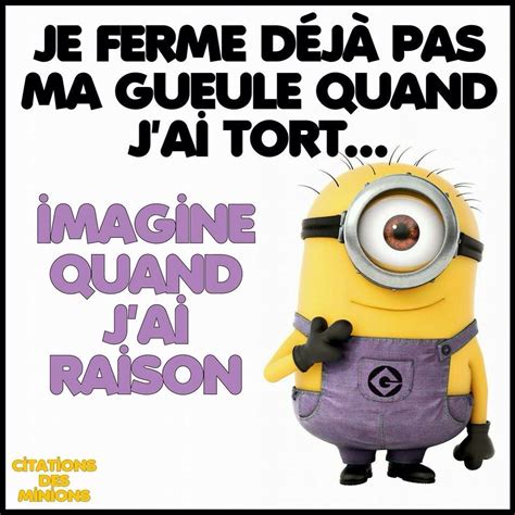 A Minion With The Caption Imagine Quand Ja Raison