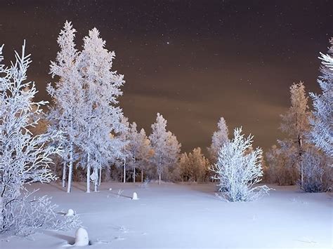 Download Wallpapers 1366x768 Winter Forest Snow Laptop