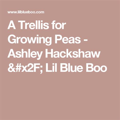 A Trellis For Growing Peas Ashley Hackshaw Lil Blue Boo Growing