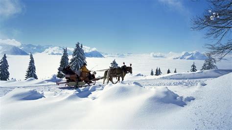 🥇 Landscapes Snow Horses Switzerland Sleds Bing Wallpaper