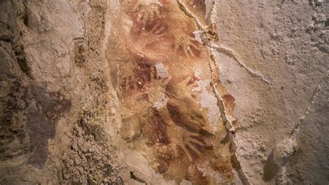 Cave Paintings In Indonesia May Be Among The Oldest Known The New