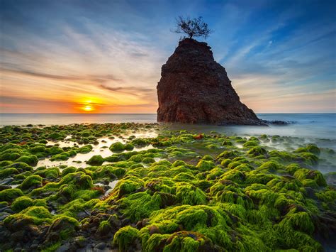 Sunset Batu Luang Beach Green Algae Rocks Ocean Waves Kuala Penyu Sabah