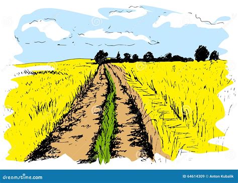 Colored Hand Sketch Dirt Road Stock Vector Illustration Of Path