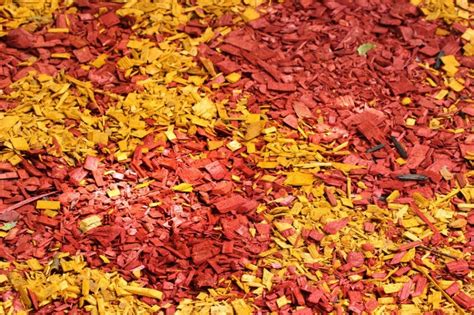 What Color Mulch Should You Use And What Kind