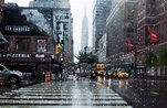 It's raining again! | New york city, City, Rain