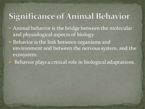 Why Do We Study Animal Behavior