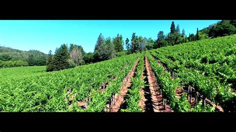 Anderson S Conn Valley Vineyards Youtube