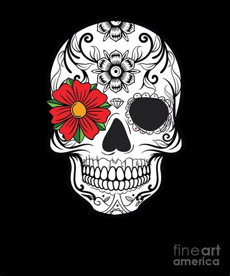 Day Of The Dead Skull Graphic Calavera Cinco De Mayo Design Digital Art