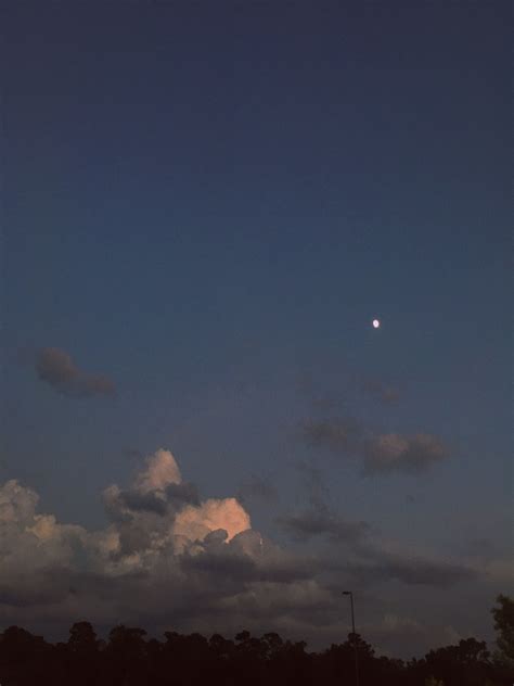 The Moon Is Shining In The Sky Above Some Trees And Grass On A Cloudy Day