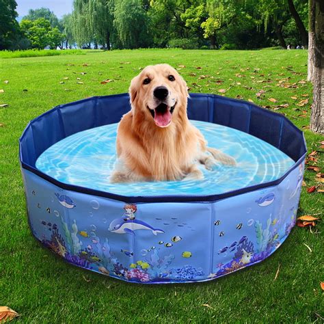 Collapsible Pet Dog Bath Pool Kiddie Pool Hard Plastic Foldable