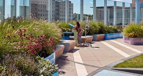 Boston Childrens Hospital Rooftop Healing Garden Mikyoung Kim Design