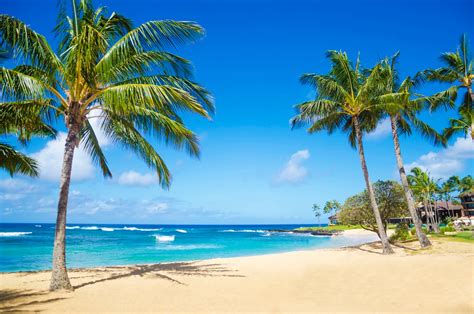 The Best Beaches in Hawaiʻi in Hawaii Magazine