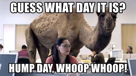 Say Hump Day Again