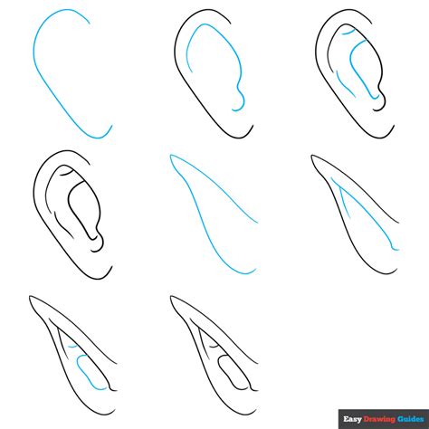 How To Draw Human Ears Step By Step