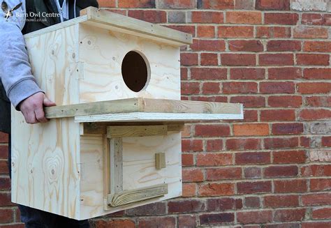 The Barn Owl Centre Indoor Barn Owl Nest Box With Hatch The Barn