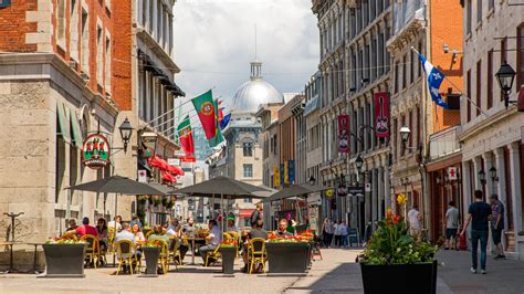 Carpet Cleaners In St Joseph Montreal