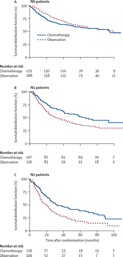 Adjuvant Vinorelbine Plus Cisplatin Versus Observation In Patients With