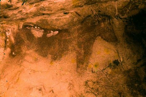 Horse In The Cave Of Altamira Altamira Nature Painting