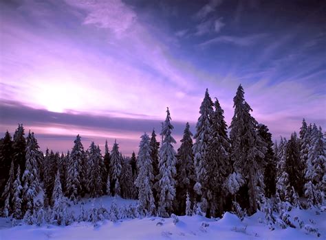 High Quality Desktop Wallpaper Of Nature Image Of Winter Sunset