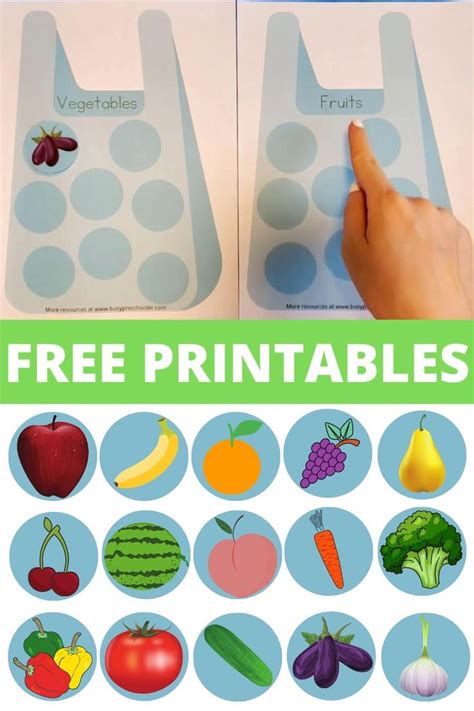 Fruit And Vegetable Sorting Activity For Toddlers And Preschoolers