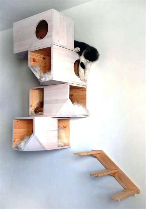 We've been handcrafting cat furniture for more than 30 years and we know how cats jump, climb and lounge. Cat Wall Shelves Image Of Wall Mounted Cat Shelves Wall Mounted Cat Shelves Australia | Diy ...
