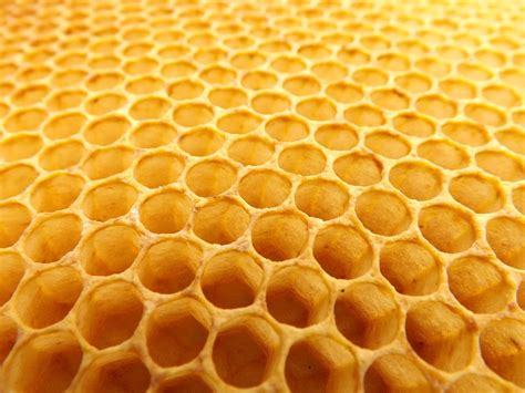 Honeycomb