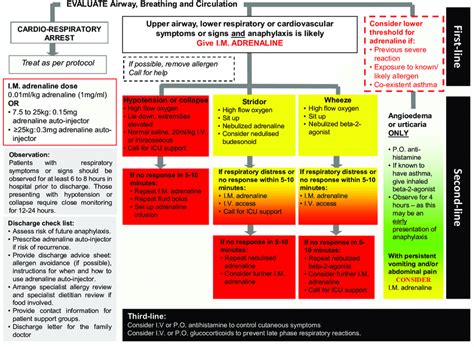 Schematic Illustration Of The Initial Management Of Anaphylaxis
