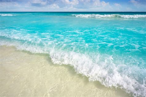 Playa Turquesa Del Caribe En Riviera Maya Foto Premium