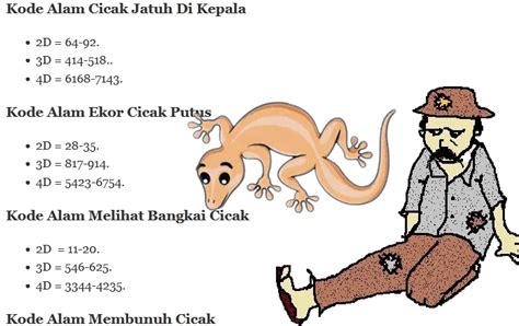 nomor jatuh sidney