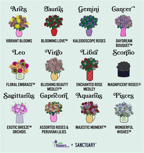 1 800 Flowers Has Released A Range Of Zodiac Bouquets Apartment Therapy