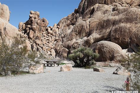 Indian Cove Campground Joshua Tree National Park Gallery Wander