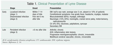 Lyme Disease Stages And Treatment