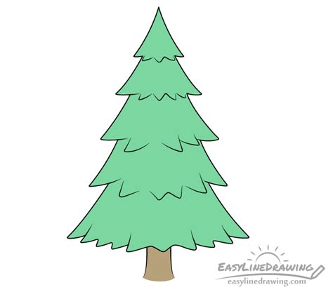 How To Draw A Pine Tree Step By Step Easylinedrawing Christmas Tree