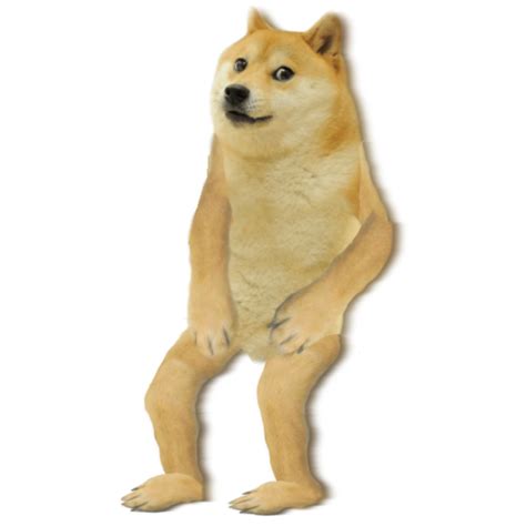 Doge Png Transparent Images Png All