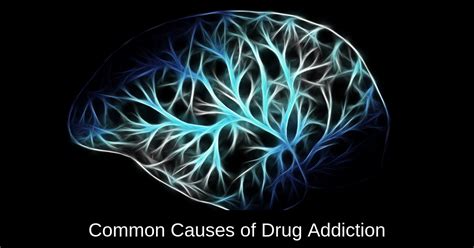 Causes Of Drug Addiction Common Reasons Triggers And Signs