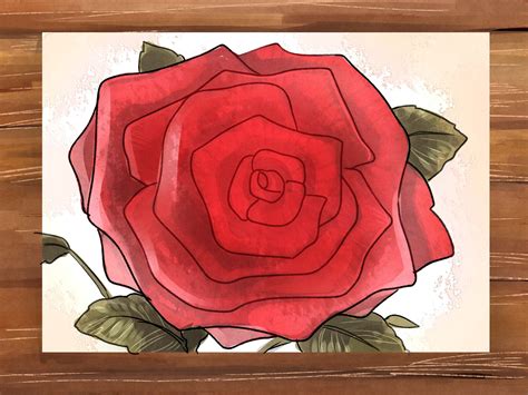 3 Ways To Draw A Rose Wikihow