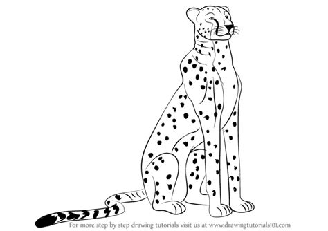 How To Draw A Cheetah Draw Central Cheetah Drawing Zoo Animal