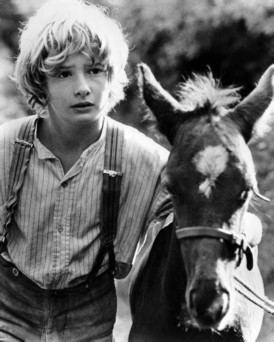 Mark Lester Black Beauty Posters And Photos 106433 Movie Store