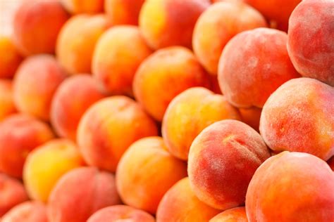 Peaches From Apples To Zucchini Your Seasonal Produce Guide