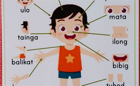 Parts Of The Body Chart Filipino Tagalog Laminated Educational Chart