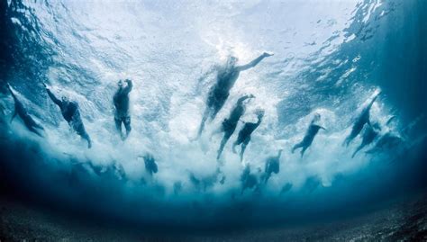 Top Underwater Photos From National Geographic Your Shot Underwater