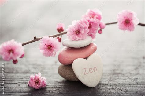 Fleurs Zen Stock Foto Adobe Stock