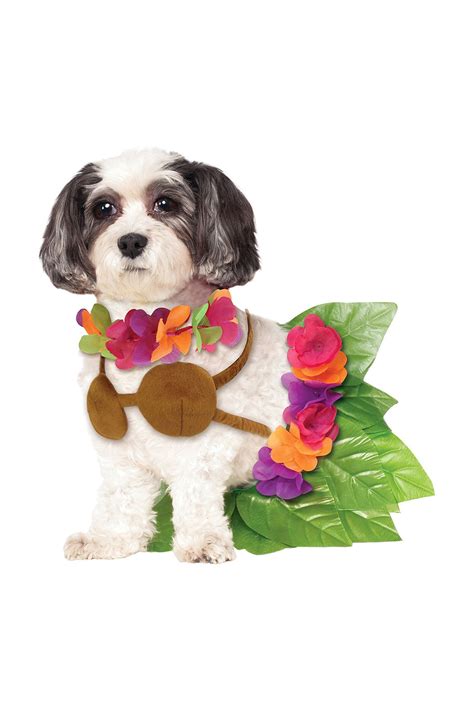 These Dog Costume Ideas Will Help Get Your Pup In On The Halloween Fun