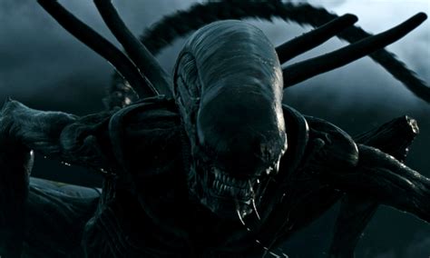 Alien Horror Terrifying Xenomorphs From The Alien Movies Space