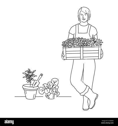 Line Drawing Of Gardener Woman With A Box Of Flowers In The Garden